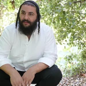 Moshe Storch avatar