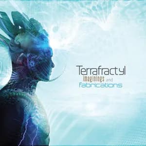 Terrafractyl avatar
