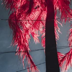 The Lugubrious avatar