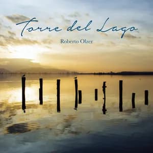 Roberto Olzer avatar