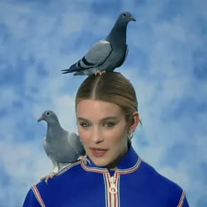 Pommelien Thijs avatar