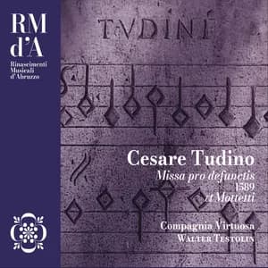 Cesare Tudino avatar