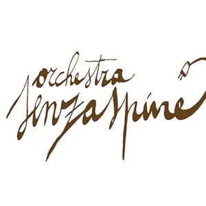 Orchestra Senzaspine avatar