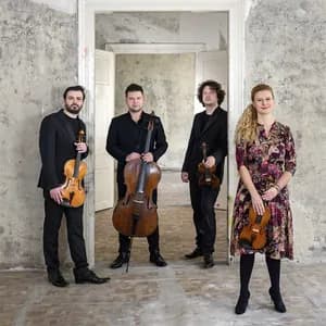 Pavel Haas Quartet avatar