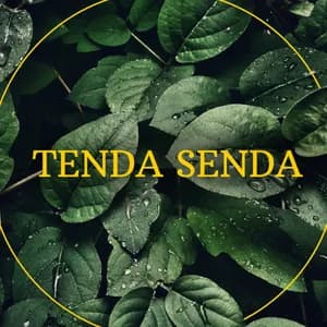 Tenda Senda avatar