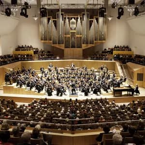 Bamberger Symphoniker avatar