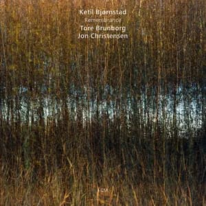 Tore Brunborg avatar