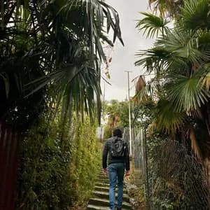 Desolate Horizons avatar