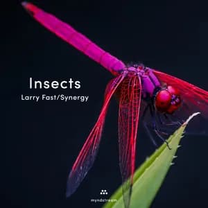 Larry Fast avatar