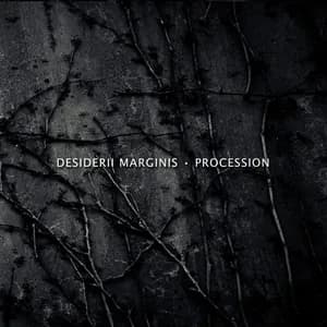 Desiderii Marginis avatar