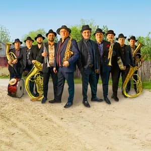 Fanfare Ciocărlia avatar