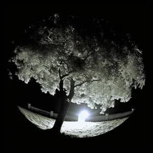 BROKEN_CANYON avatar