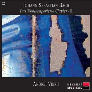 Andreï Vieru avatar