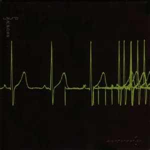 Usurp Synapse avatar