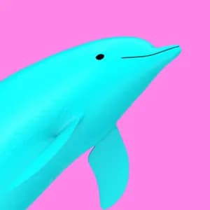 Dolphin Machine avatar