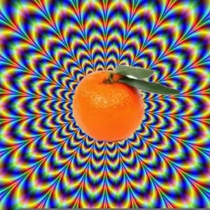 Clementine le Fruit avatar