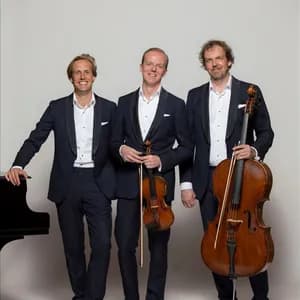 Storioni Trio avatar