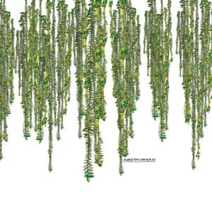 Florian Schirmacher avatar