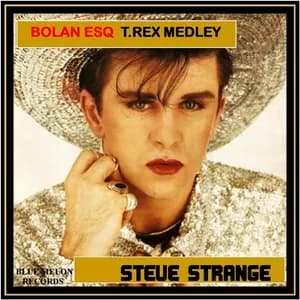 Steve Strange avatar