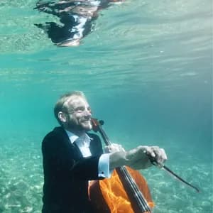 Toke Møldrup avatar