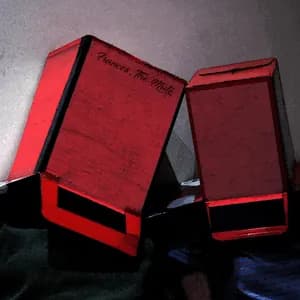 Frances the Mute avatar