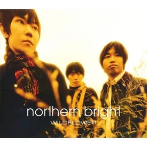Northern Bright avatar