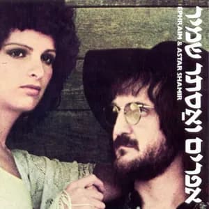 אסתר שמיר avatar