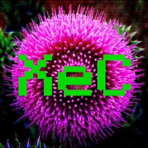 Xenon Chameleon avatar