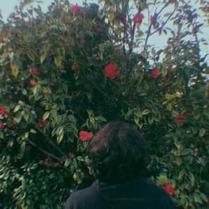 M a l i b l u e avatar