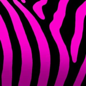 Pinkzebra avatar