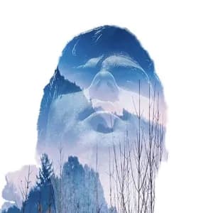 Kim André Arnesen avatar