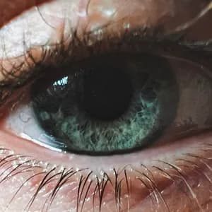 Trippz Michaud avatar