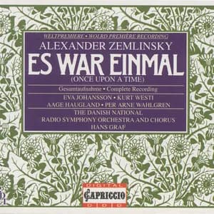 DR KoncertKoret avatar