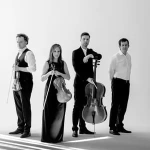 Mariani Klavierquartett avatar