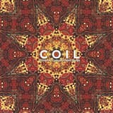 Light Shining Darkly