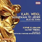 Fünf Lieder aus “Phantasus”, op. 9: No. 1. Aus weissen Wolken baut sich ein Schloss