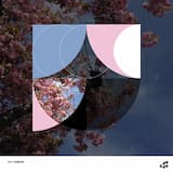 South Creake - Pigs (Eating)