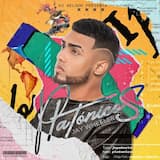 Me enamoré (versión vallenato)