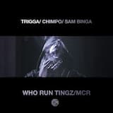 Who Run Tingz
