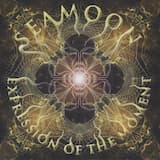 Surrounding Stillness