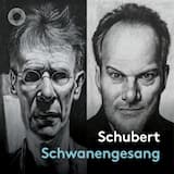 Einsamkeit, D 620: I. Gib mir die Fülle der Einsamkeit!