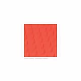 I Can Hear Your Tears