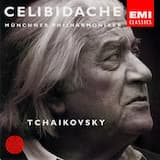 Symphonie Nr. 5 e-moll, Op. 64: IV. Andante maestoso - Allegro vivace