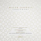 Concerto for Violin and Orchestra: I. Allegro moderato