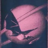 Annihilate Thy Forest