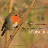 Mésange charbonnière