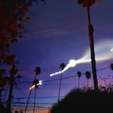 Palm Foyer Walkthrough