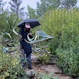 nothing new under the sun