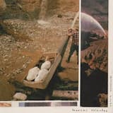 meu céu da boca está sangrando e eu tenho medo