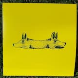 The Green Dogs of Dahshur